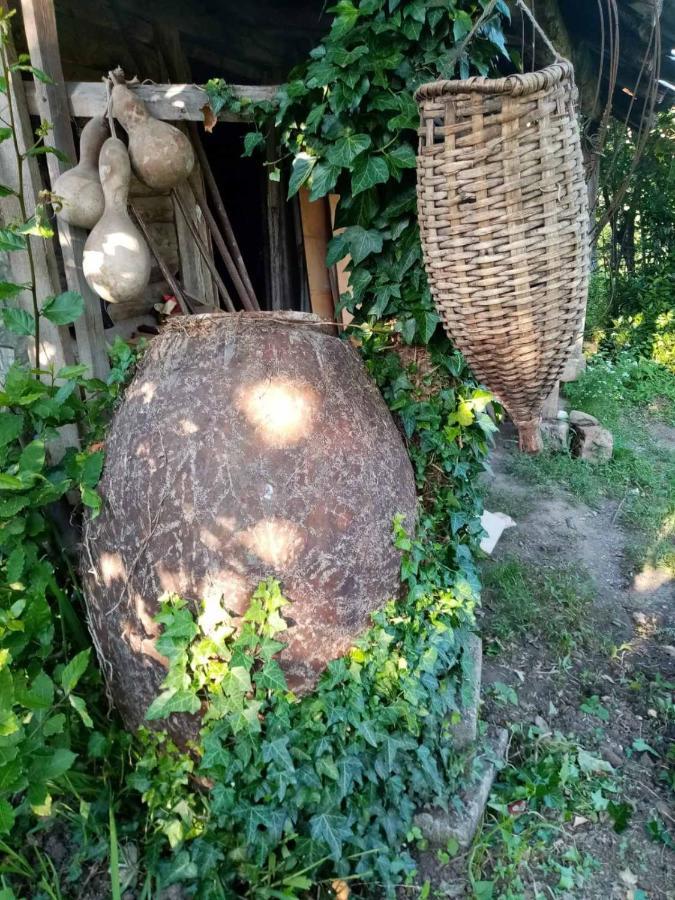 Guest House Knarik Jvari Exterior foto